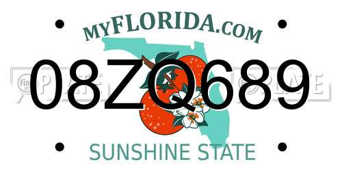 08ZQ689 Florida License Plate