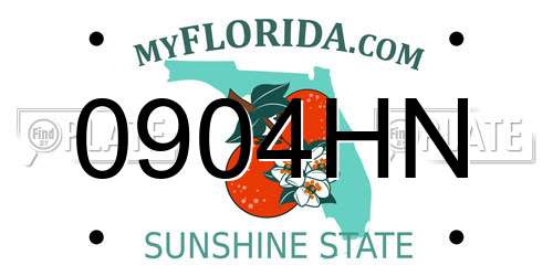 0904HN Florida License Plate