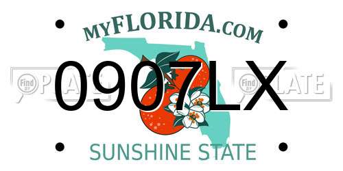0907LX Florida License Plate