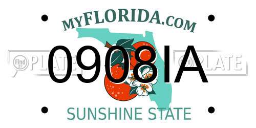 0908IA Florida License Plate