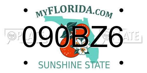 090BZ6 Florida License Plate