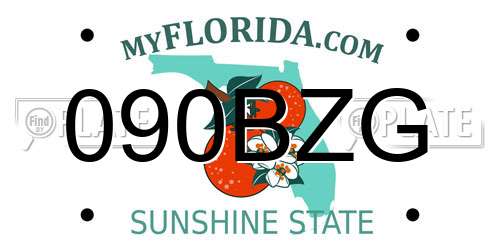 090BZG Florida License Plate