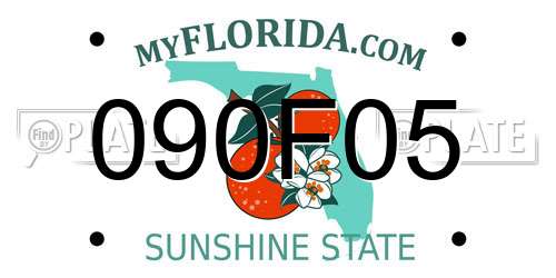 090F05 Florida License Plate