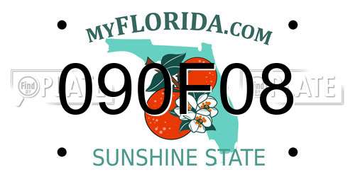 090F08 Florida License Plate
