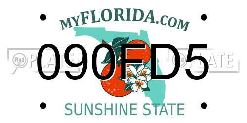 090FD5 Florida License Plate