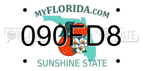 090FD8 Florida License Plate