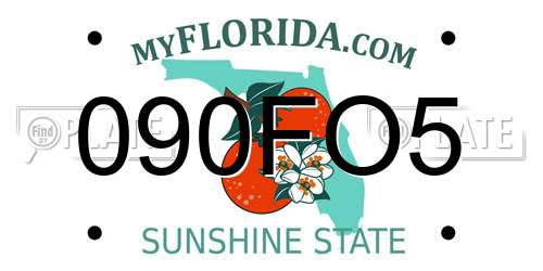 090FO5 Florida License Plate