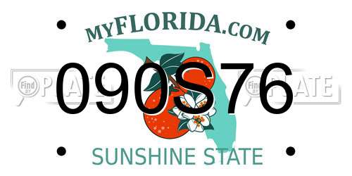 090S76 Florida License Plate