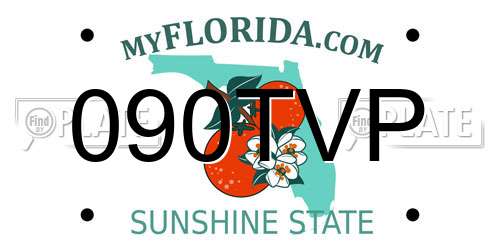 090TVP Florida License Plate