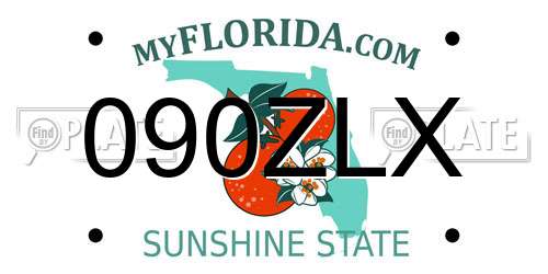 090ZLX Florida License Plate