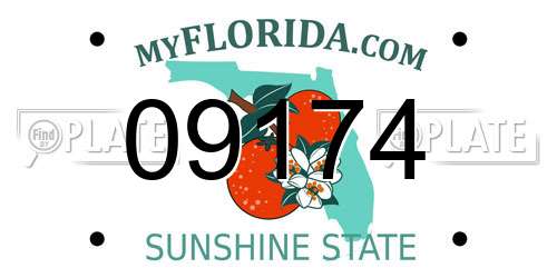 09174 Florida License Plate