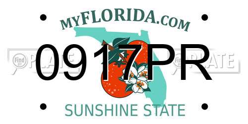 0917PR Florida License Plate