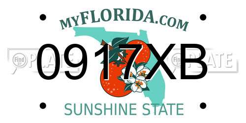 0917XB Florida License Plate