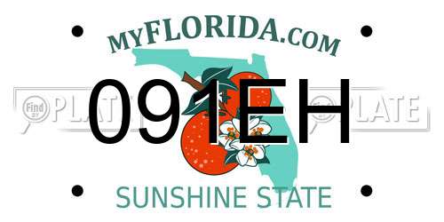 091EH Florida License Plate