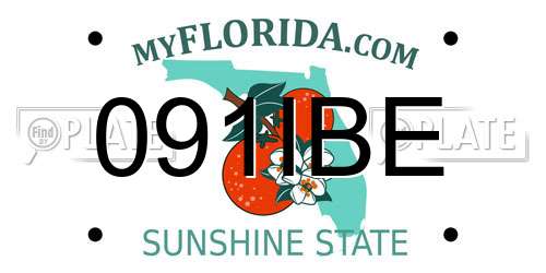 091IBE Florida License Plate