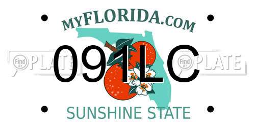 091LC Florida License Plate