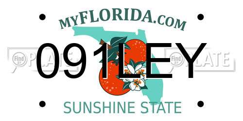 091LEY Florida License Plate