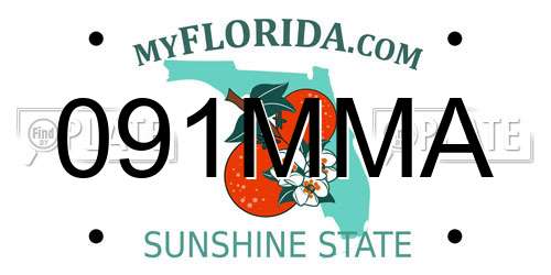 091MMA Florida License Plate