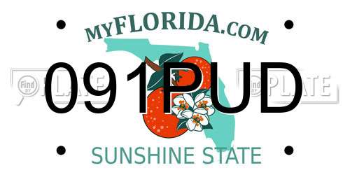 091PUD Florida License Plate