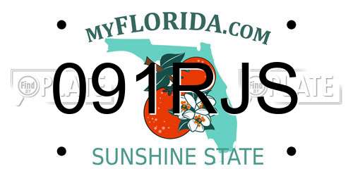 091RJS Florida License Plate