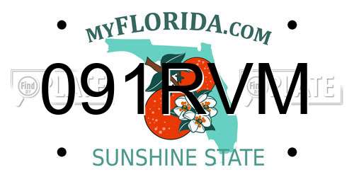 091RVM Florida License Plate
