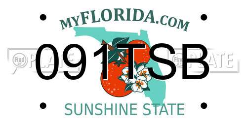 091TSB Florida License Plate