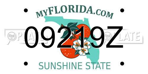 09219Z Florida License Plate