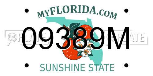 09389M Florida License Plate