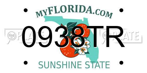 0938TR Florida License Plate