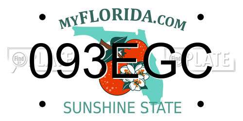 093EGC Florida License Plate