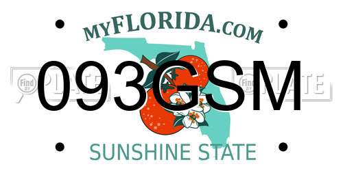 093GSM Florida License Plate