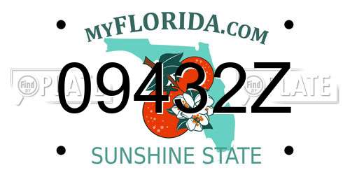 09432Z Florida License Plate