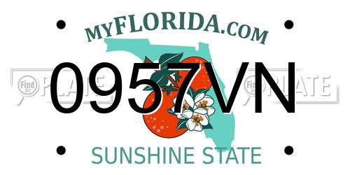 0957VN Florida License Plate
