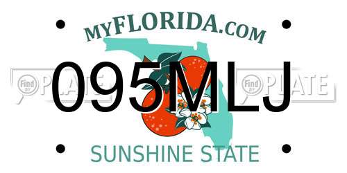 095MLJ Florida License Plate