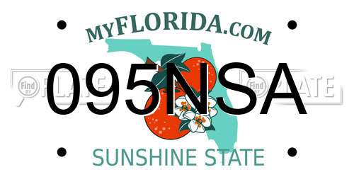 095NSA Florida License Plate