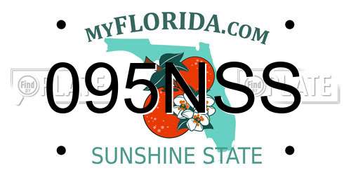 095NSS Florida License Plate