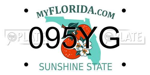 095YG Florida License Plate