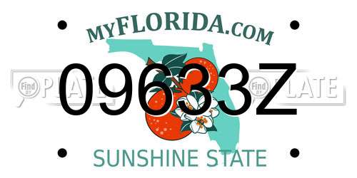 09633Z Florida License Plate