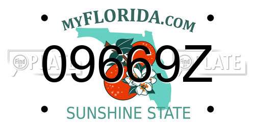 09669Z Florida License Plate