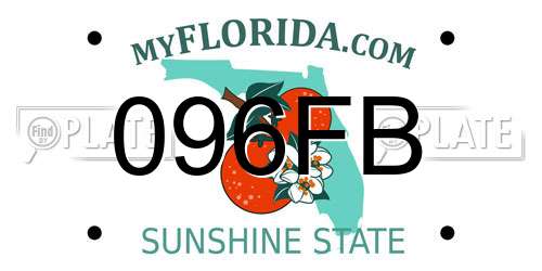 096FB Florida License Plate