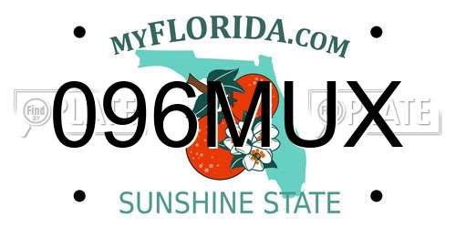 096MUX Florida License Plate