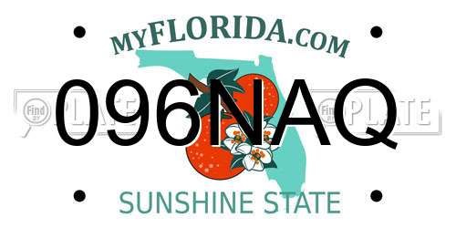 096NAQ Florida License Plate