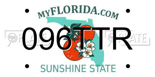 096TTR Florida License Plate