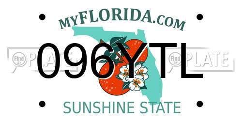 096YTL Florida License Plate