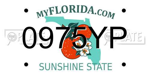 0975YP Florida License Plate