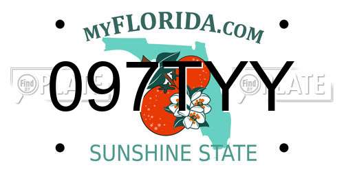 097TYY Florida License Plate