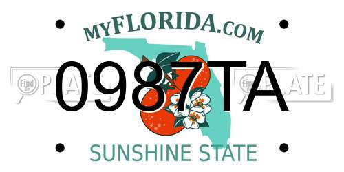 0987TA Florida License Plate