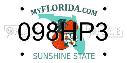 098HP3 Florida License Plate