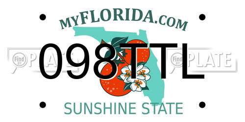 098TTL Florida License Plate