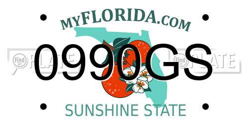 0990GS Florida License Plate